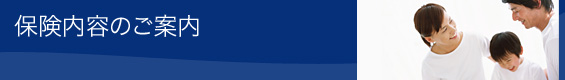 保険内容のご案内 保険内容のご案内