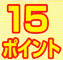 15ポイント